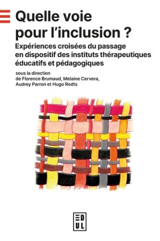 brumaud-florence-cervera-melaine-parron-audrey-quelle-voie-pour-l-inclusion-experiences-croisees-du-passage-en-dispositif-des-instituts-therapeu_0