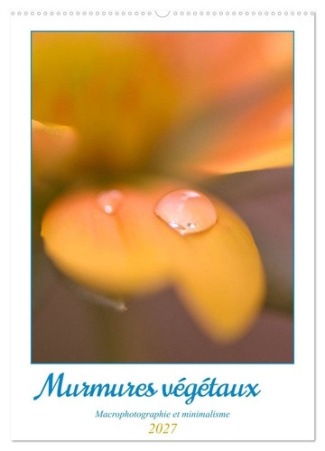bruyas-virginie-murmures-vegetaux-calendrier-mural-2027-une-annee-au-c-ur-de-la-nature_0