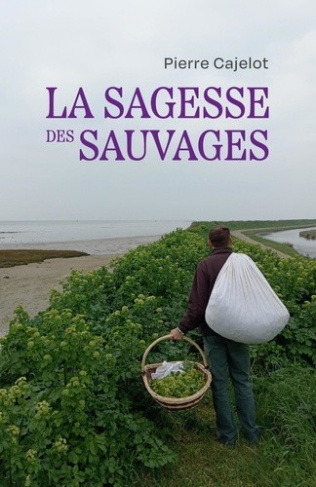 cajelot-pierre-la-sagesse-des-sauvages_0