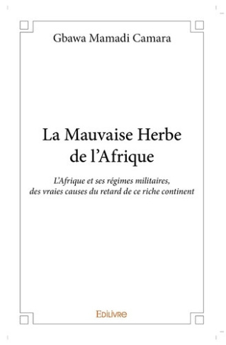 camara-gbawa-mamadi-la-mauvaise-herbe-de-l-afrique-l-afrique-et-ses-regimes-militaires-des-vraies-causes-du-retard-de_0