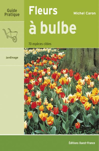 caron-michel-fleurs-a-bulbe_0