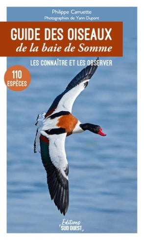 carruette-philippe-dupont-yann-guide-des-oiseaux-de-la-baie-de-somme_0