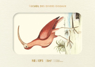 catesby-mark-livre-d-images-recueil-de-divers-oiseaux_0