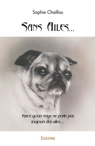 chaillou-sophie-sans-ailes-parce-qu-un-ange-ne-porte-pas-toujours-des-ailes_0