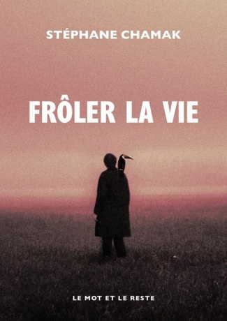 chamak-stephane-froler-la-vie_0