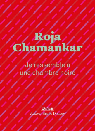 chamankar-roja-rava-farideh-je-ressemble-a-une-chambre-noire_0