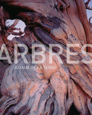 chamot-claire-3b-zimmermann-odile-3b-lieutaghi-pierr-arbres-joyaux-de-la-terre_0