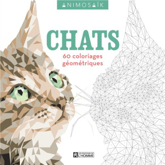chats-60-coloriages-geometriques_0