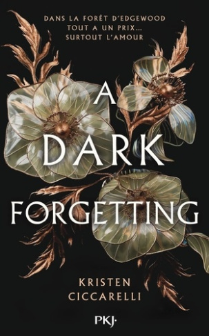 ciccarelli-kristen-a-dark-forgetting_0