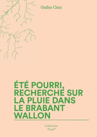 cloez-ondine-t-pourri-recherche-sur-la-pluie-dans-le-brabant-wallon_0