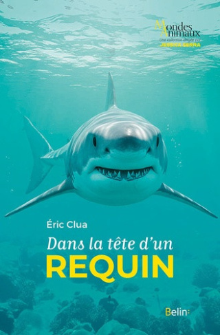 clua-eric-dans-la-tete-d-un-requin_0