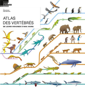 collectif-atlas-des-vertebres_0