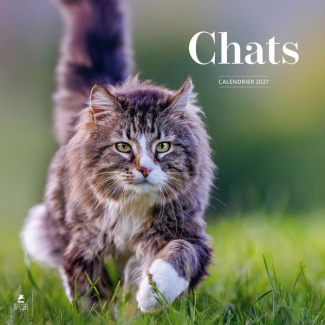 collectif-calendrier-2027-chats_0