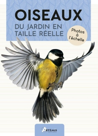 collectif-oiseaux-du-jardin-en-taille-reelle_0