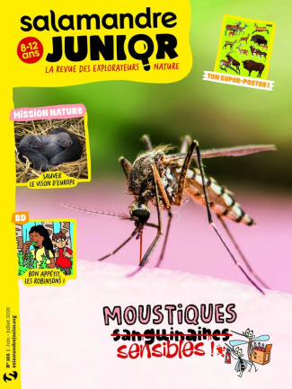 collectif-revue-salamandre-junior-n-166-juin-2026_0