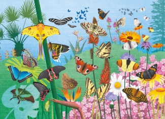 colombo-silvia-les-papillons-puzzle_0
