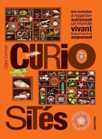 corman-clara-curiosites_0