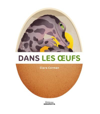corman-clara-dans-les-oeufs_0
