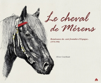 courthiade-olivier-le-cheval-de-merens-renaissance-du-noir-frontalier-d-espagne_0