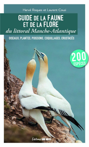 couzy-laurent-3b-roques-herve-guide-de-la-faune-et-de-la-flore-du-littoral-manche-atlantique-oiseaux-plantes-poissons-coquilla_0