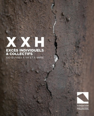 danilovic-frances-xxh-exces-individuels-et-collectifs-100-ouvres-a-vif-et-a-vivre_0