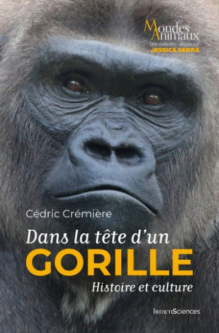 dans-la-tete-d-un-gorille-histoire-et-culture_0