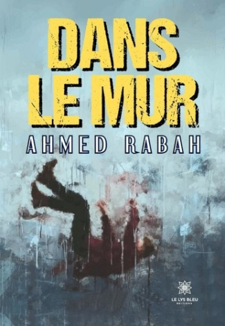 dans-le-mur_0