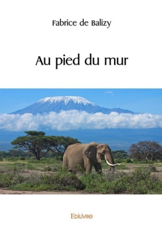 de-balizy-fabrice-au-pied-du-mur_0