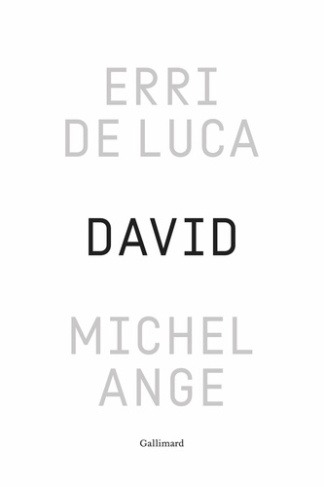 de-luca-erri-michel-ange_0