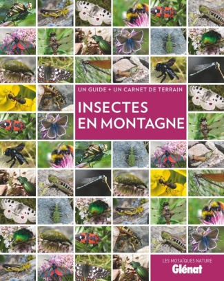 delenatte-blandine-insectes-en-montagne-un-guide-un-carnet-de-terrain-2e-edition_0