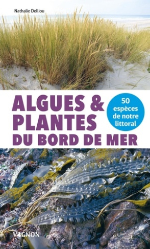 delliou-nathalie-algues-et-plantes-du-bord-de-mer-50-especes-de-notre-littoral_0