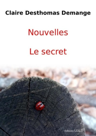 demange-claire-le-secret_0