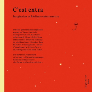 desbordes-chrystelle-bruno-christophe-te-c-est-extra-imaginaires-et-realisme-extrat_0