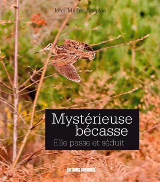 desplos-jean-michel-3b-bernede-laurent-3b-michel-rou-mysterieuse-becasse-elle-passe-et-seduit_0