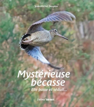 desplos-jean-michel-mysterieuse-becasse-elle-passe-et-seduit_0