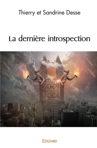 desse-sandrine-la-derniere-introspection_0