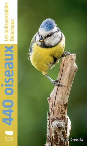 dierschke-volker-440-oiseaux-les-indispensables-delachaux_0