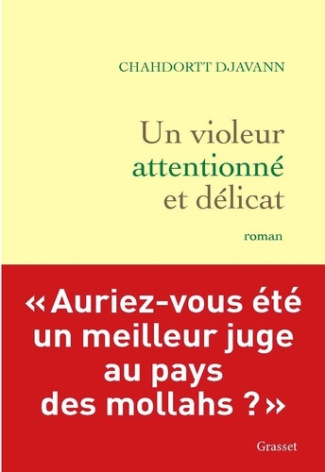 djavann-chahdortt-un-violeur-attentionne-et-delicat-roman_0