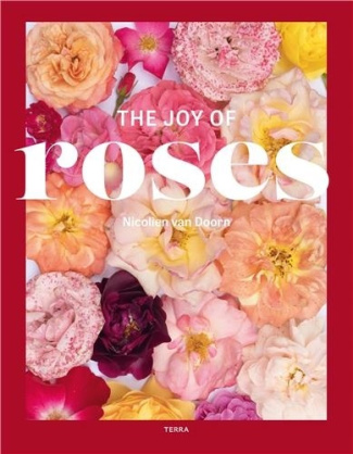 doorn-beemer-the-joy-of-roses_0