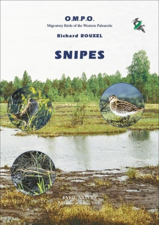 dorigny-francois-rouxel-richard-oiseaux-migrateurs-du-paleartique-central_0