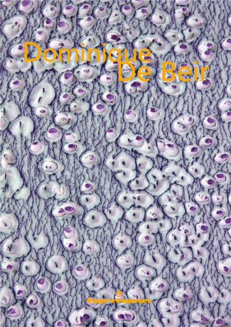 doucet-louis-3b-le-lannou-jean-michel-3b-watteau-dia-dominique-de-beir_0