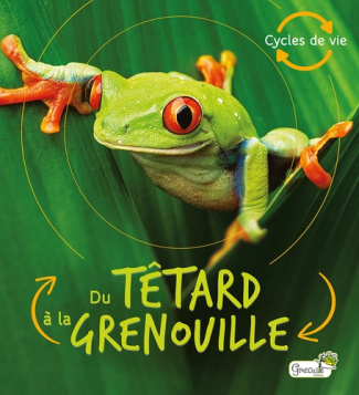 du-tetard-a-la-grenouille_0