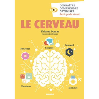 dumas-thibault-le-cerveau_0