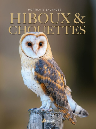duperat-m-hiboux-chouettes_0