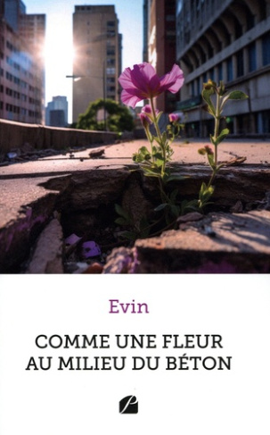 evin-comme-une-fleur-au-milieu-du-beton_0