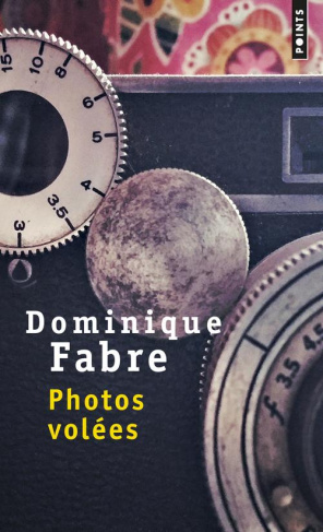 fabre-dominique-photos-volees_0