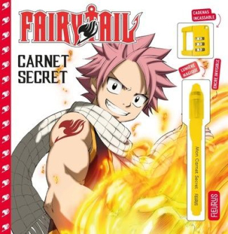 fairy-tail-mon-carnet-secret-fairy-tail_0