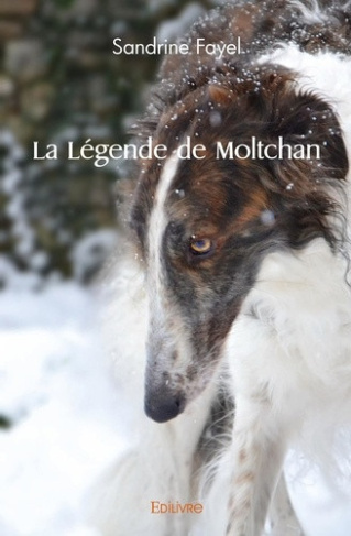 fayel-sandrine-la-legende-de-moltchan_0