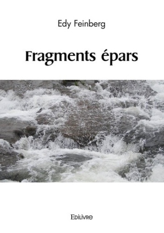 feinberg-edy-fragments-epars_0