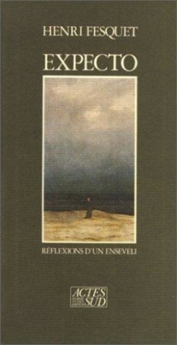 fesquet-henri-expecto-ou-les-reflexions-d-un-enseveli_0